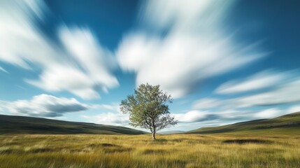 Lonely Tree in a Field
