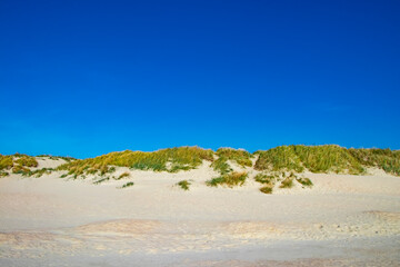 beautiful dunes with white sand and blue sky in the background on the island of Rømø in Denmark