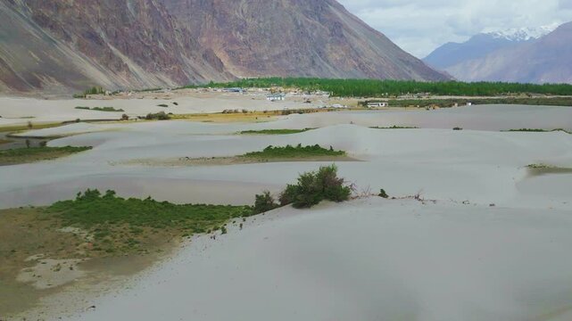 Aerial 180 degree mesmerizing view of sand dunes of nubra valley, where golden sands meet lush greenery, set against towering mountains and a dramatic Ladakhi sky.