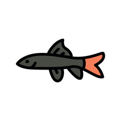 Fototapeta premium Labeo fish color line icon. Tropical fish