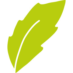 Fototapeta premium Green Leaf Illustration – Simple Tropical Plant Vector Design