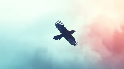 Fototapeta premium A silhouette of a bird in flight against a soft, colorful sky.