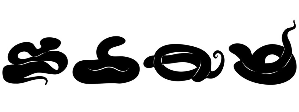 Snake silhouettes set. Snakes black and white color, hand drawn snakes in different shapes. Vector illustration on white background. 