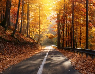 Obraz premium Forest road in autumn. Asphalt mountain road passing through colorful autumn leaves.