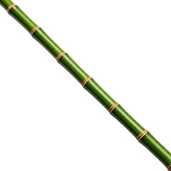 Fototapeta premium Long green bamboo stick isolated on white background