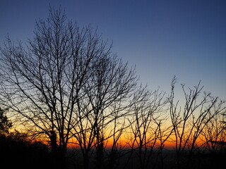 Fototapeta premium OLYMPUS DIGITAL CAMERA