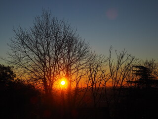 Fototapeta premium OLYMPUS DIGITAL CAMERA