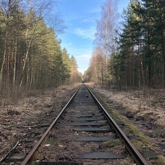 Fototapeta premium Looking down a straight old railway line though a forest.