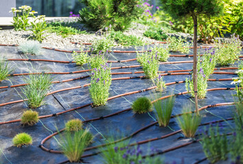 Smart Irrigation System for Sustainable Gardens Using Drip Lines in a Lush Green Landscape