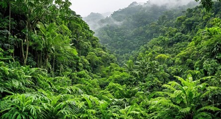 beautiful image of nature