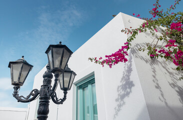 Colorful bougainvillea cascades over the whitewashed walls of traditional houses lining a quaint alley in Hydra, showcasing the island's picturesque charm in bright sunlight.