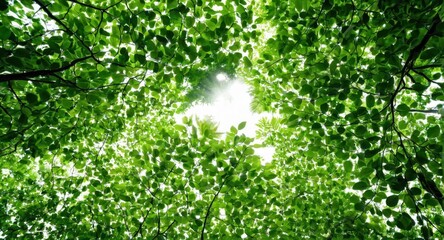 Beautiful image of nature