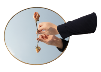 Dried rose png mirror , transparent background
