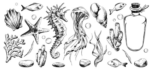 Seahorse and jellyfish with shells, starfish, seaweed, corals, sea sponges, fish and pebbles, glass bottle. Hand drawn graphic illustration in black and white color line art Set of individual elements © NATASHA-CHU
