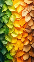 gradient from green leaves to orange