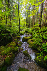 Togakushi Shrine near Nagano in Japan
