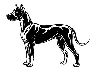 Obraz premium great dane dog full body icon. Black and white logo, dog silhouette, engraving style. Pet character. Vector illustration