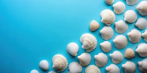 Fototapeta premium Romantic white seashells on a blue background minimalist