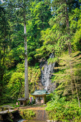 山形県　羽黒山五重塔