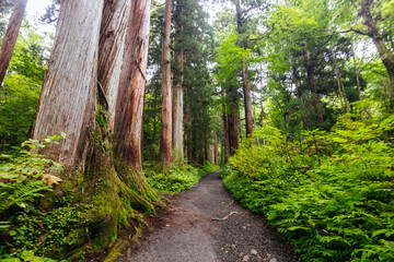 Togakushi Shrine near Nagano in Japan