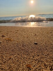 plage de sable au coucher de soleil