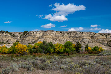 Colorful Trees in Theodore Roosevelt National Park