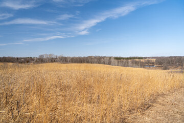 Fototapeta premium Views of dried prairie and trees during a sunny spring day at a MN state park.