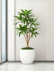 Fototapeta premium Modern Office Space: Sleek Furniture, Clean Lines, and Expansive Windows Create an Inviting Workspace
