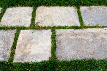 Path in an Italian garden. Photo taken at Casa Lajolo, Piossasco (Turin, Italy)