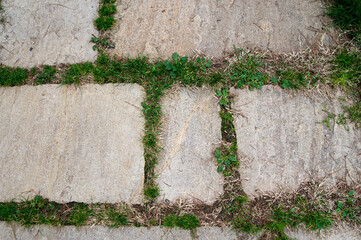 Path in an Italian garden. Photo taken at Casa Lajolo, Piossasco (Turin, Italy)