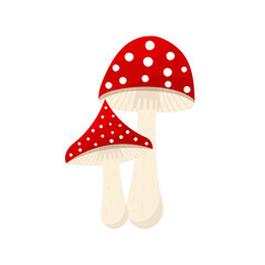 Fly agaric mushrooms vector flat. A poisonous toxic dangerous mushroom - fly agaric isolated without background. Vector illustration