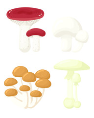 Mushroom vector set. Collection of different types forest mushroom: russule, champignon, armillaria, death cap. Vector illustration