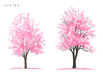 Obraz premium Vector watercolor blooming flower tree or forest side view isolated on white background for landscape and architecture drawing,elements for environment or and garden,Sakura tree for section