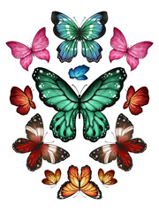 Naklejka premium Butterfly Collection Illustration Set. Beautiful Watercolor Tropical Moths Isolated on White Background. Flying Cute Insects with Colorful Wings