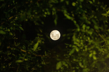 Full Moon seen from the city of S&atilde;o Paulo Brazil on December 8, 2022