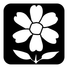 Fototapeta premium flower