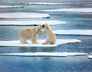 Polar bear (Ursus maritimus) mother and cub on the pack ice, north of Svalbard Arctic Norway