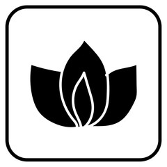 Fototapeta premium flower