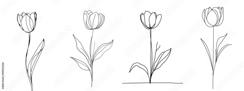 Fototapete An illustration of a tulip flower in continuous line art style. No background is included, so it can be viewed as a minimalist black linear sketch.