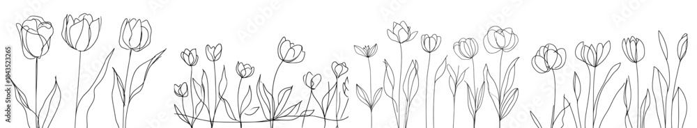 Poster this set of hand drawn single continuous line flowers and leaves is ideal for use in web design, t-s