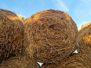Stack of Hay: Rustic Farm Charm