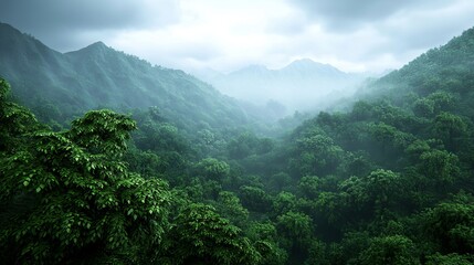 Obraz premium Lush Green Mountains with Fog and Clouds