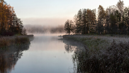Blurred landscape with a lake in the morning fog, fog over the lake, dark silhouettes of trees on the shore of the lake