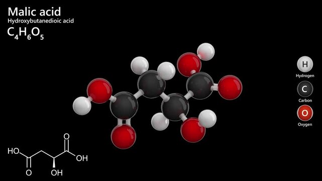 Malic Acid. Animated 3D model of a molecule. Molecular formula: C4H6O5. Chemical model: Ball and stick. E296. Food additive. Black background. 3D rendering. Seamless loop.