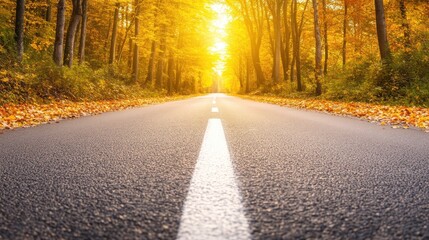 Fototapeta premium A paved road stretches through an autumnal forest, bathed in golden sunlight, with fallen leaves scattered along the edges.