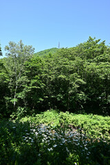 Fototapeta premium Mount. Tairappyou and Sennokura, Gunma, Japan