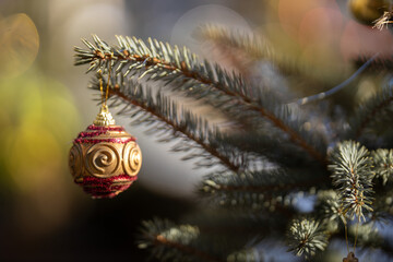 A bauble on the Christmas tree.