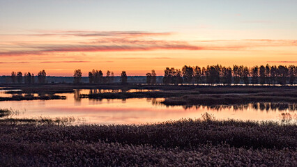 peculiar sunrise landscape of overgrown and flooded peat fields, bog ponds, bird nest