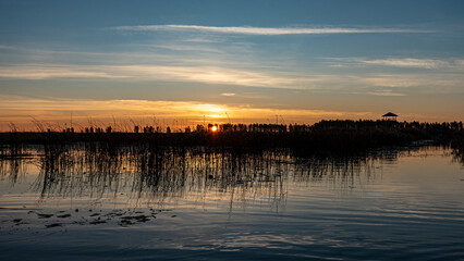 peculiar sunrise landscape of overgrown and flooded peat fields, bog ponds, bird nest