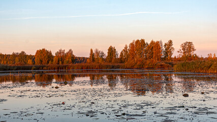 peculiar sunrise landscape of overgrown and flooded peat fields, bog ponds, bird nest